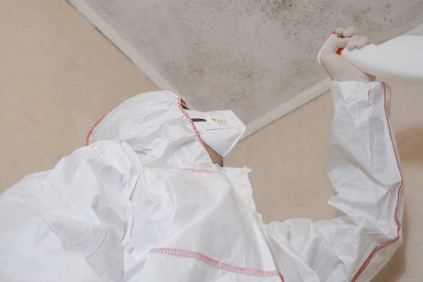 Best Insurance-Related Mold Remediation in Nett, MO