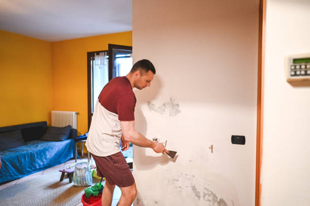 Best Black Mold Remediation in Nett, MO